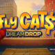 Fly Cats Dream Drop Slot Game